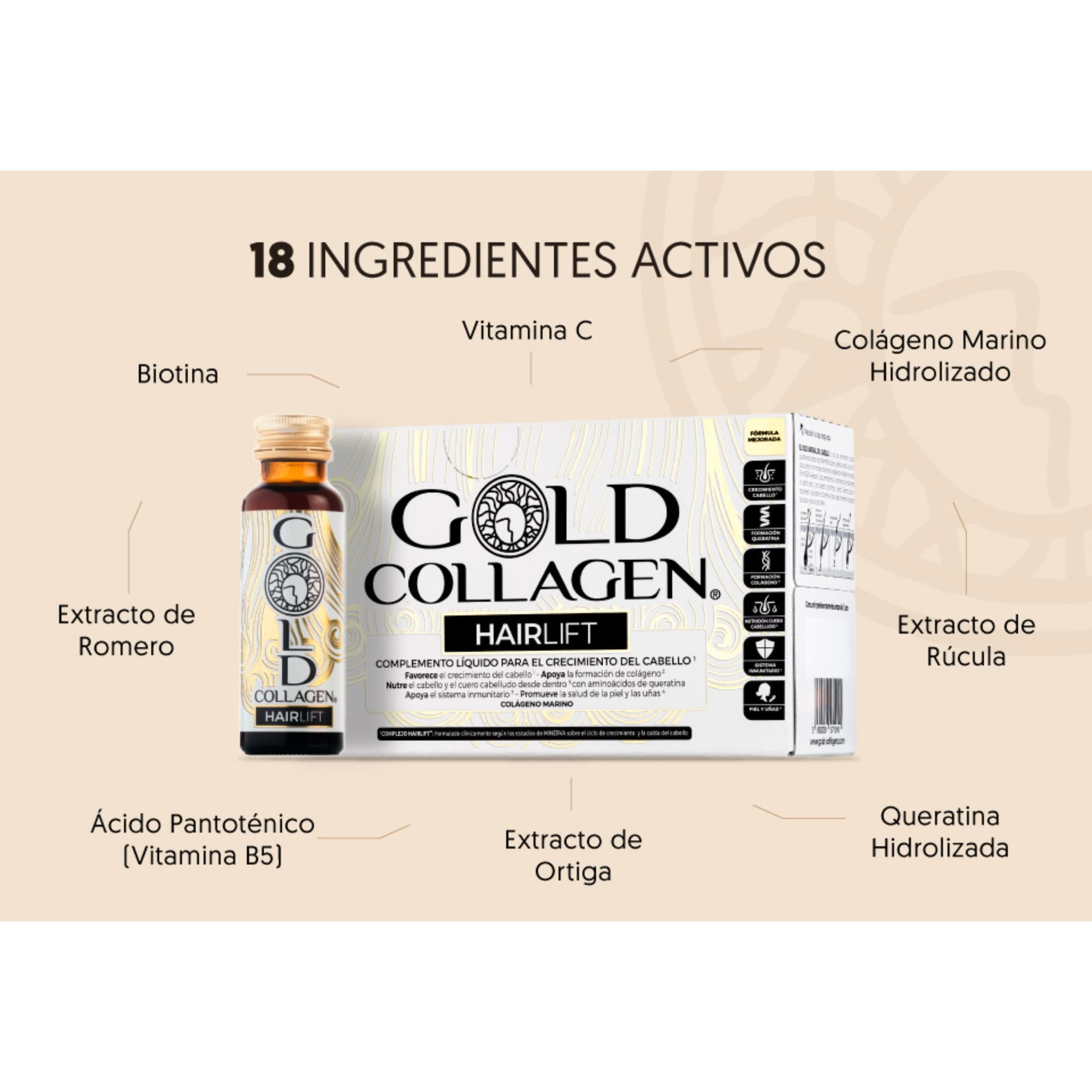 GOLD COLLAGEN Hairlift - Complemento Líquido Colágeno Marino Hidrolizado con Ácido Hialurónico, Biotina para el Cabello, Vitamina C B6, Zinc, Keratina, Fortalece Cabello Piel y Uñas 10 Botellitas 50ml