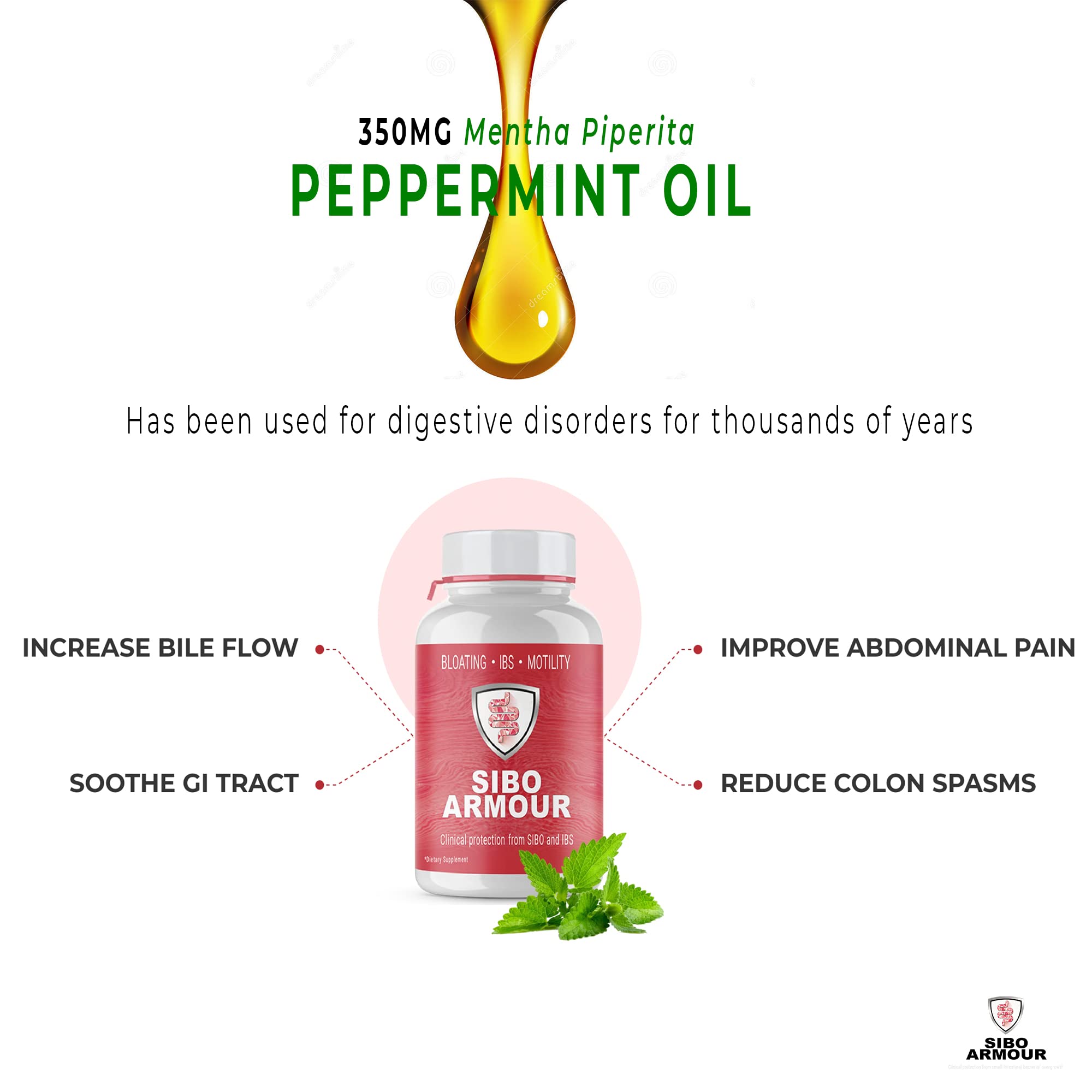 SIBO Solution Effective On Its Own Or Supplements Kill Phase