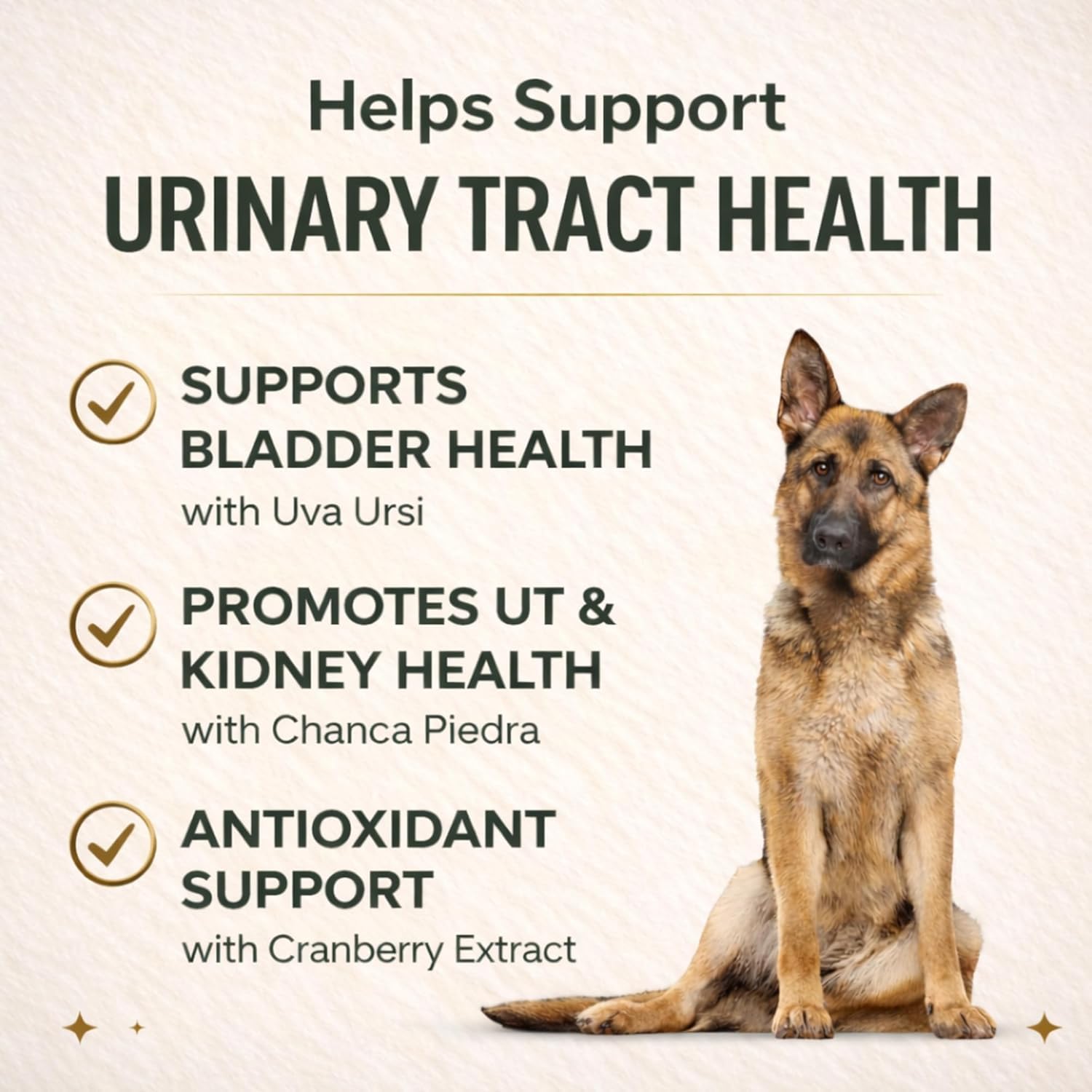 VetriScience Quick Action UT Health Chewable Tablets for Dogs, 90 Count — Amazon image 4