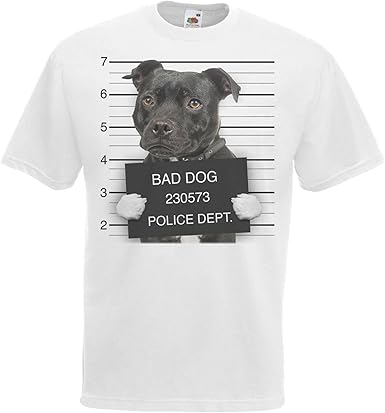 Staffordshire bull terrier clothing Clearance