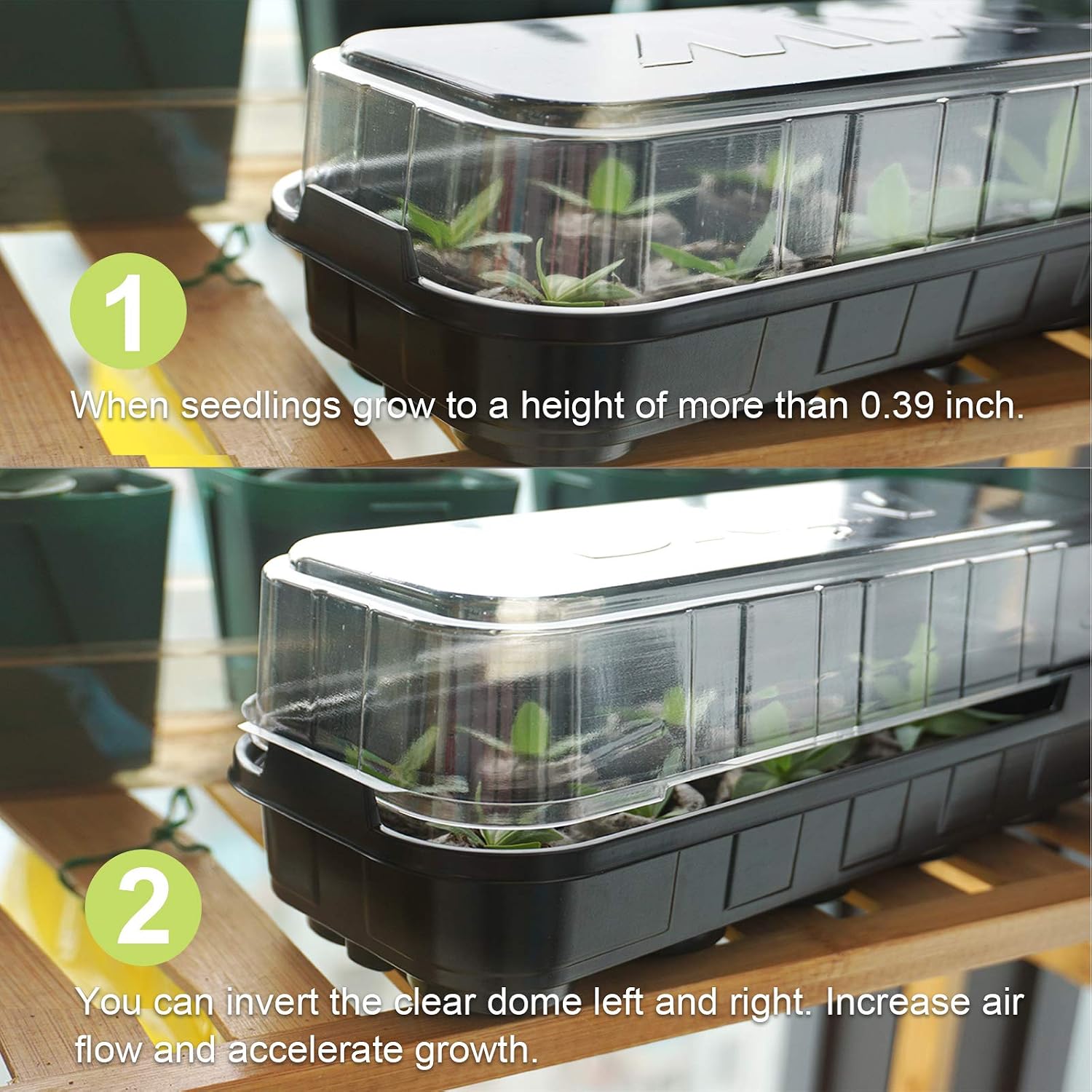 MIXC 5-Pack Mini Seed Starter Kit Sturdy Windowsill Greenhouse Trays with Cover Dome, with Instructions, for 36mm Peat Pellets Indoor/Outdoor Gardening