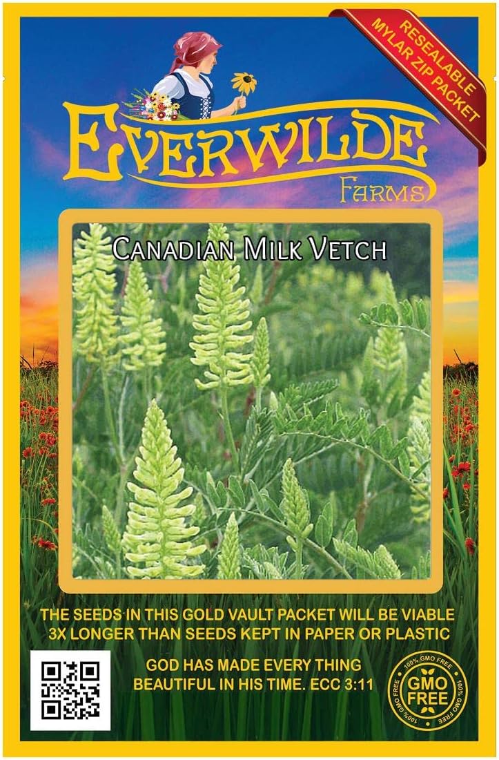 Everwilde Farms - 1 Lb Canadian Milk Vetch Native Wildflower Seeds - Gold Vault