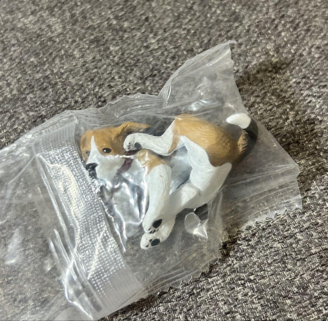 Amazon | カイカイ ビーグル 犬 いぬ イヌ ガチャガチャ