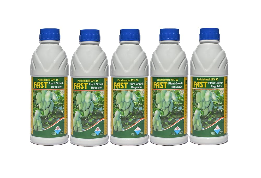 ASTRA バナナマンゴー コンバース CONVERSE ALL STAR US 64 MP HI 1SD192 （マスター