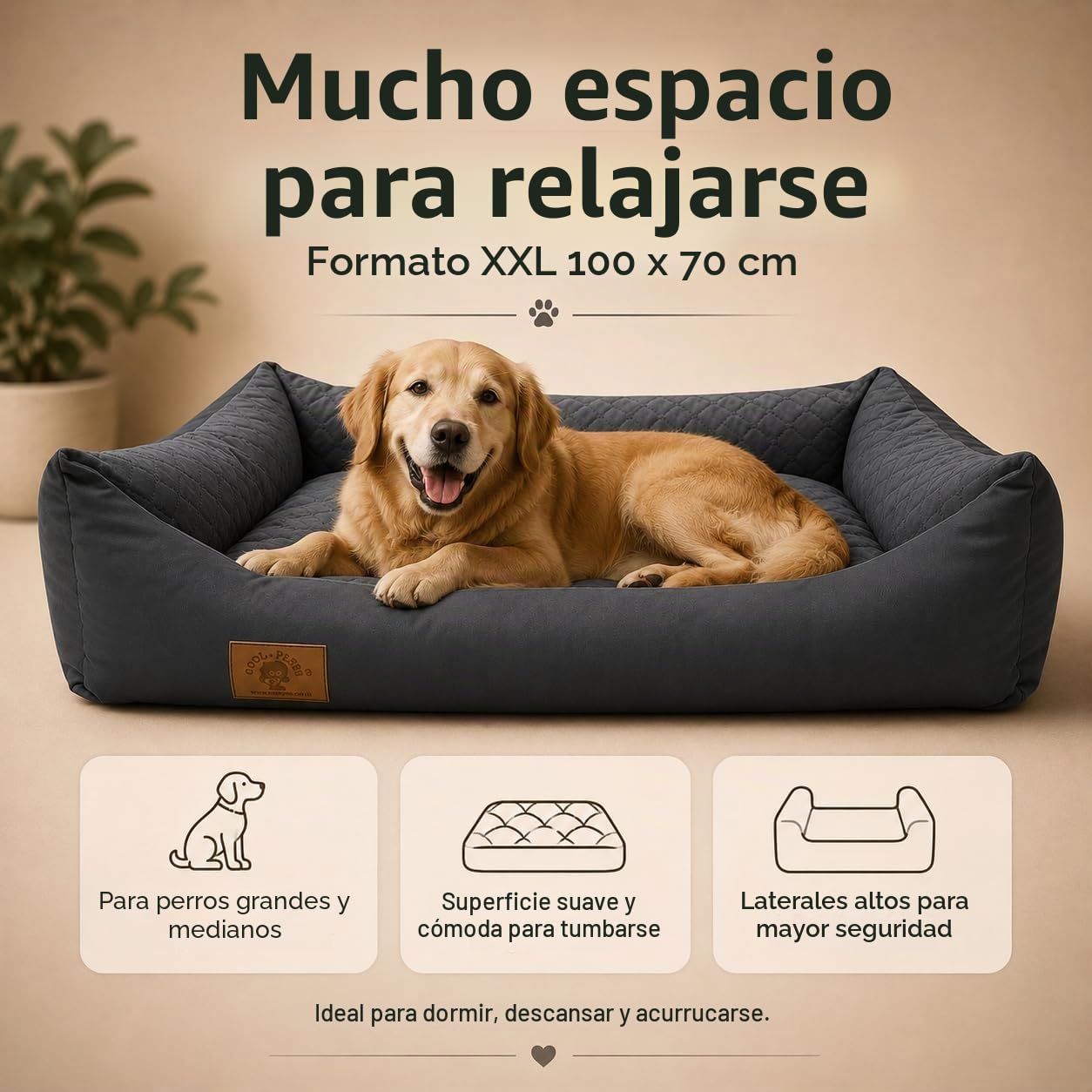 Odolplusz Cama XXL para perro con cojín reversible (tamaños y colores a elegir)