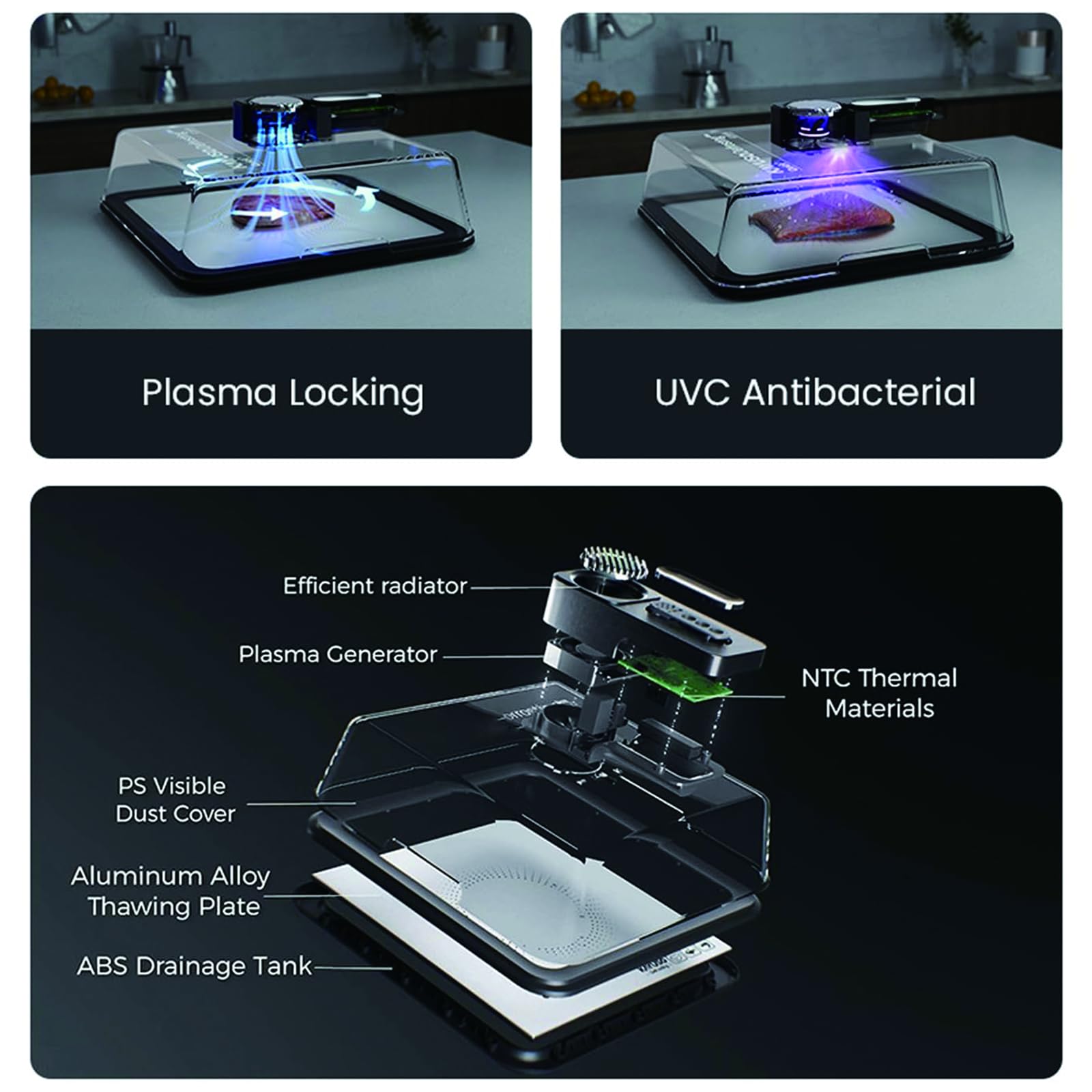 Vassoio elettrico per scongelare la carne da 4,2 l, con tecnologia di flusso d'aria e timer, piastra di sbrinamento ricaricabile tramite USB, per bistecca, pollo, pesce, frutti di mare, facile da