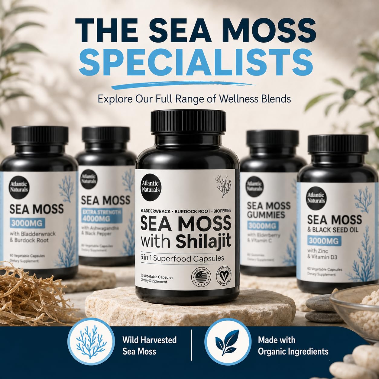 Atlantic Naturals Irish Sea Moss and Shilajit Capsules – 5-in-1 Shilajit Supplement for Men & Women with Bladderwrack, Burdock Root & Black Pepper – Energy, Vitality & Immunity – 2705mg, 60 Servings — Amazon image 8