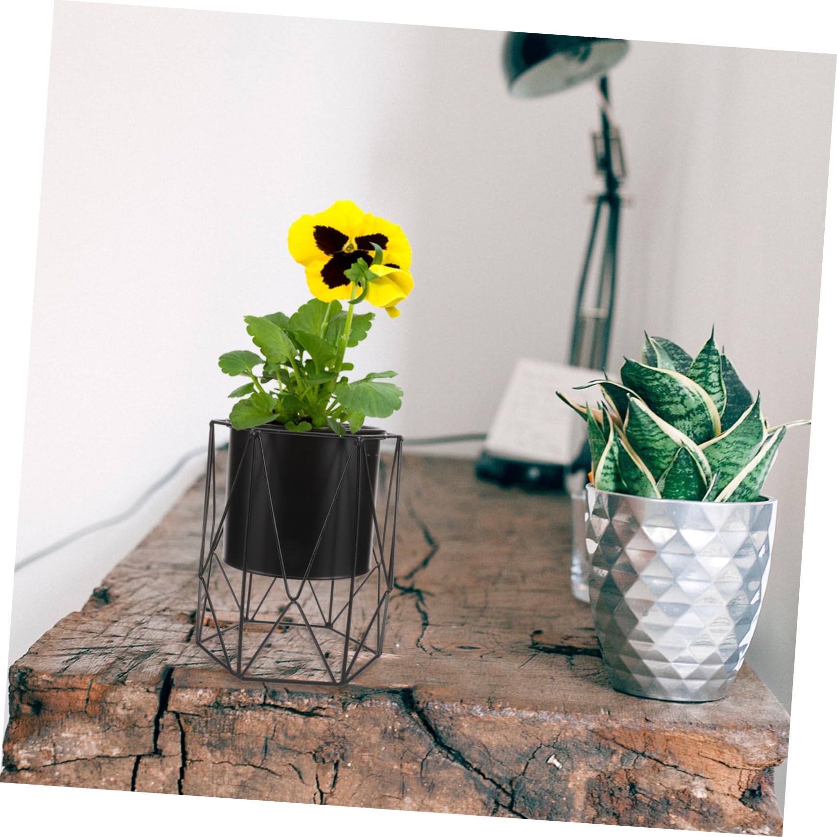 Amazon.com : Parliky Stable Iron Flower Pot Stand Indoor Plant