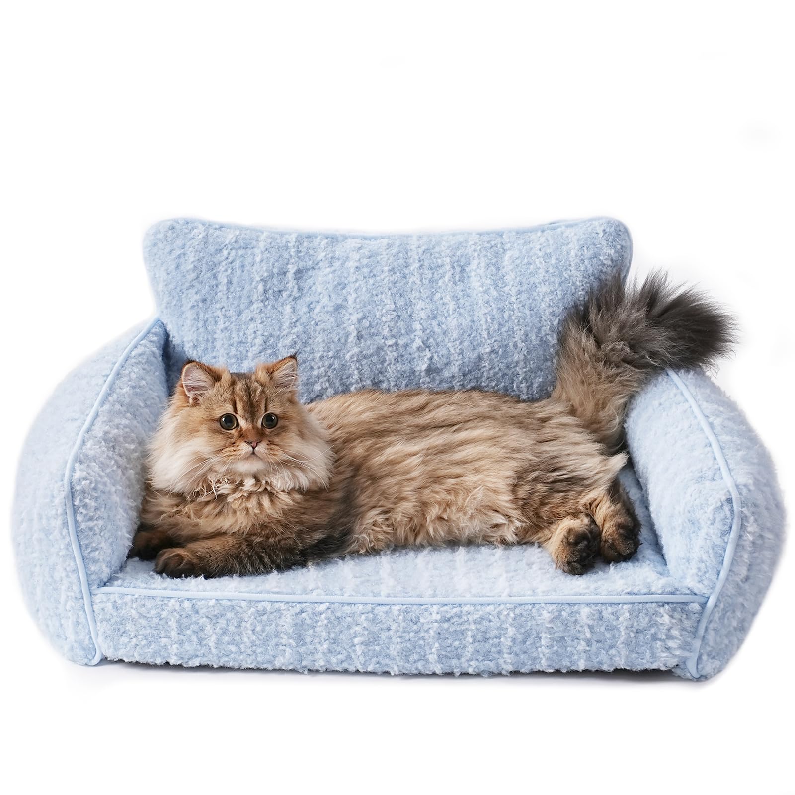 Canapé-lit orthopédique pour chats et petits chiens : offrez-lui le plus doux des nids