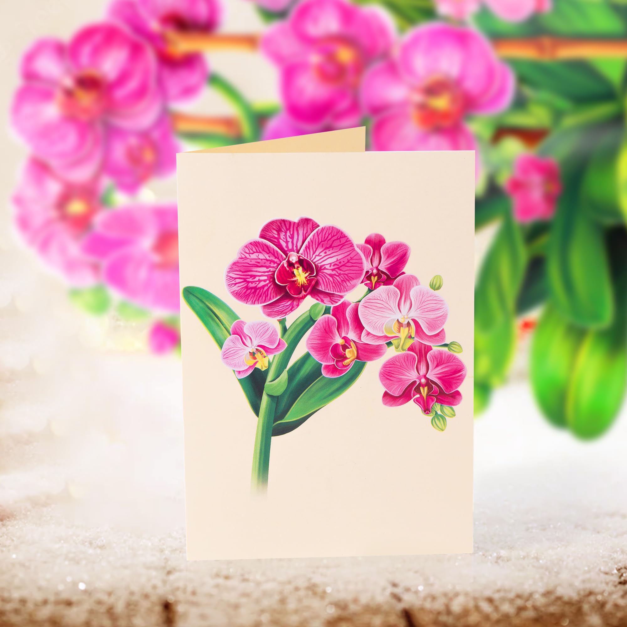 Airpark Pop-Up-Blumenstrauß-Karte für Frauen, 3D-Blumengrußkarte mit Umschlag und Notiz, Geburtstag, Dankeschön, Thinking of You Get Well Geschenk für Mutter, Freundin, Ehefrau, Lehrer, Orchidee