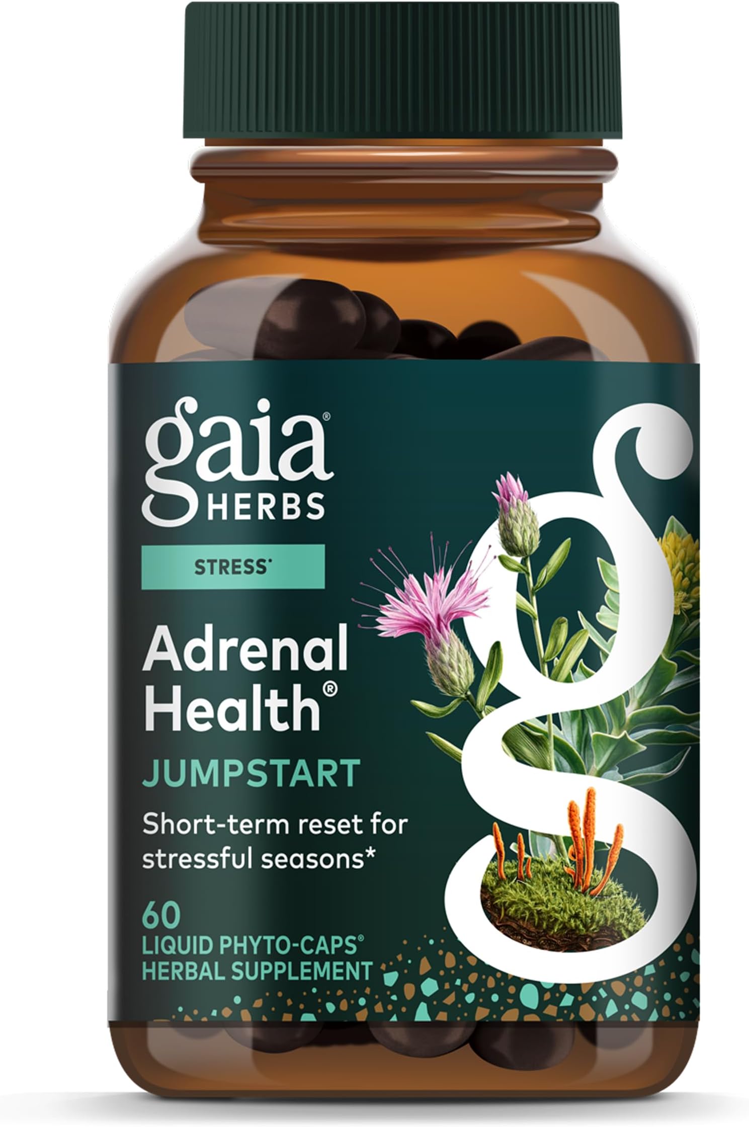 Adrenal Health Jumpstart - Helps Sustain Healthy Energy & Stress Levels* - with Cordyceps, Schisandra, Rhodiola & Licorice - 60 Vegan Liquid Phyto-Capsules (30 Servings)