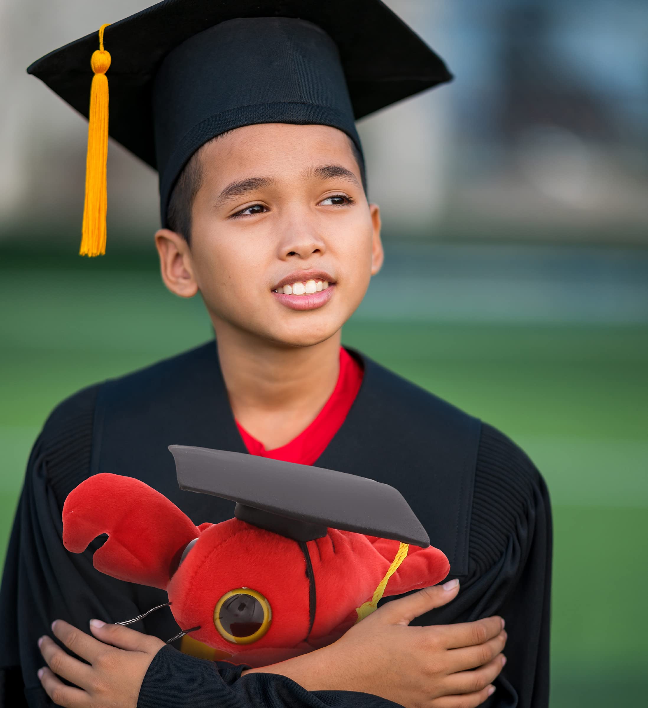 DolliBu Graduation Dolphin Plush - 12.5 Inch Grey Dolphin With Graduation Cap Stuffed Animal