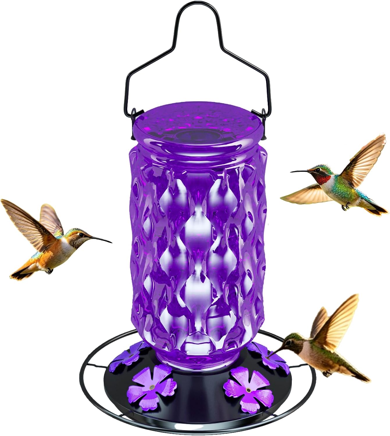 Glass Hummingbird Feeder for Outdoors,25 OZ Bird Nectar High Capacity