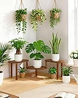 Vista 6 de Estante de plantas cóncavo de interior, soporte de plantas ovalado deformable de 3 niveles, soporte largo para macetas para múltiples plantas