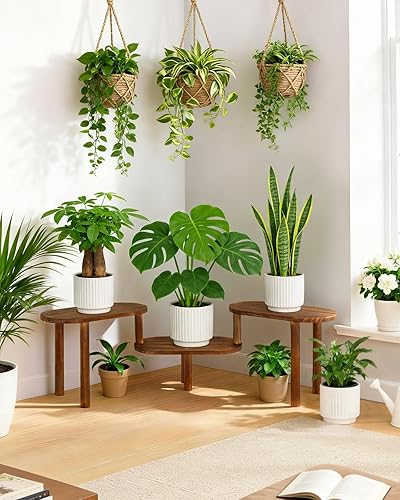 Miniatura 6 de Estante de plantas cóncavo de interior, soporte de plantas ovalado deformable de 3 niveles, soporte largo para macetas para múltiples plantas