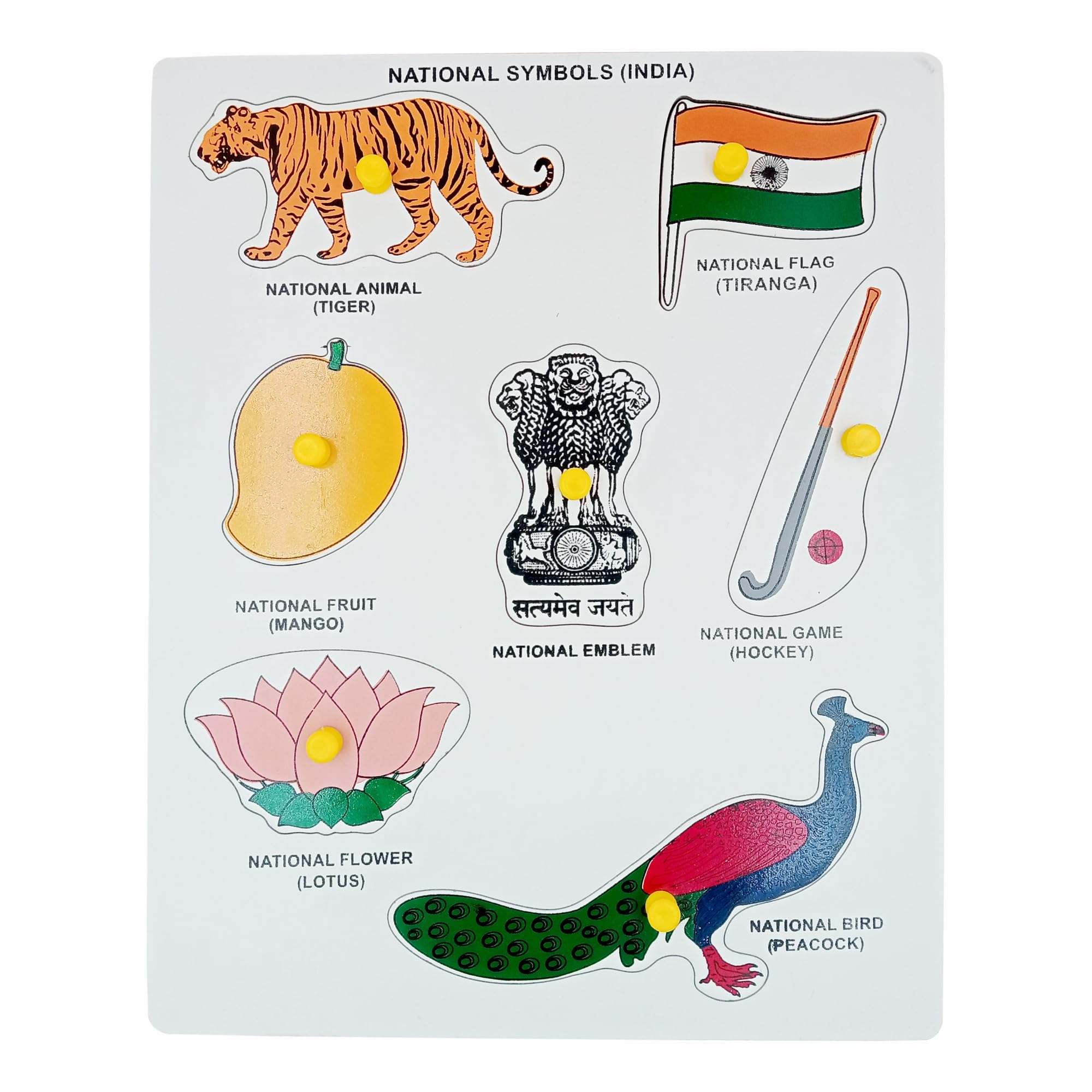 Indian National Symbols