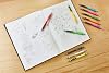 rotring Tikky Hi-Polymer Mechanical Pencil Type, 0.5mm, 2B, 0.5 Mm
