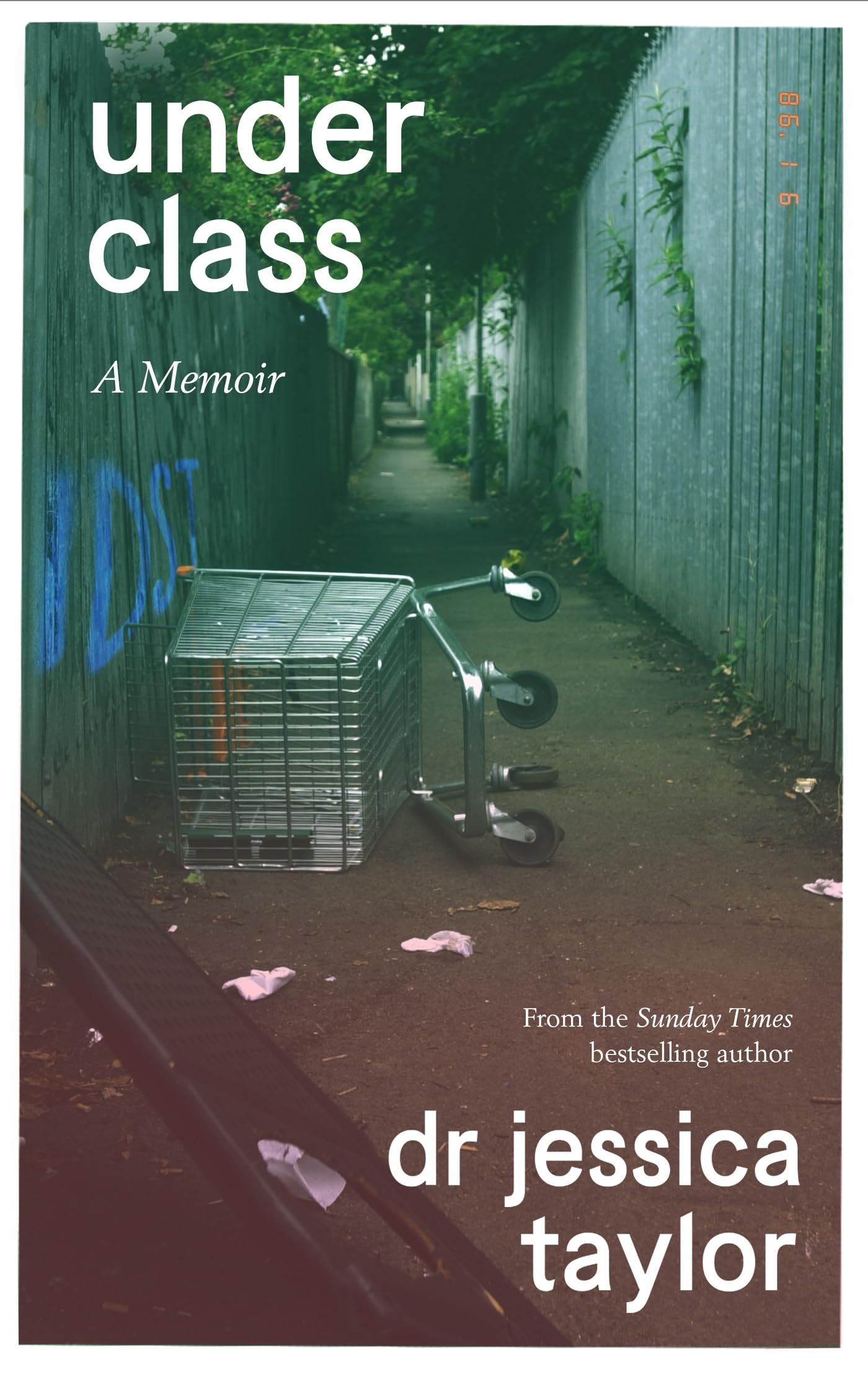 Underclass by Dr Jessica Taylor HARDBACK 9781408716953