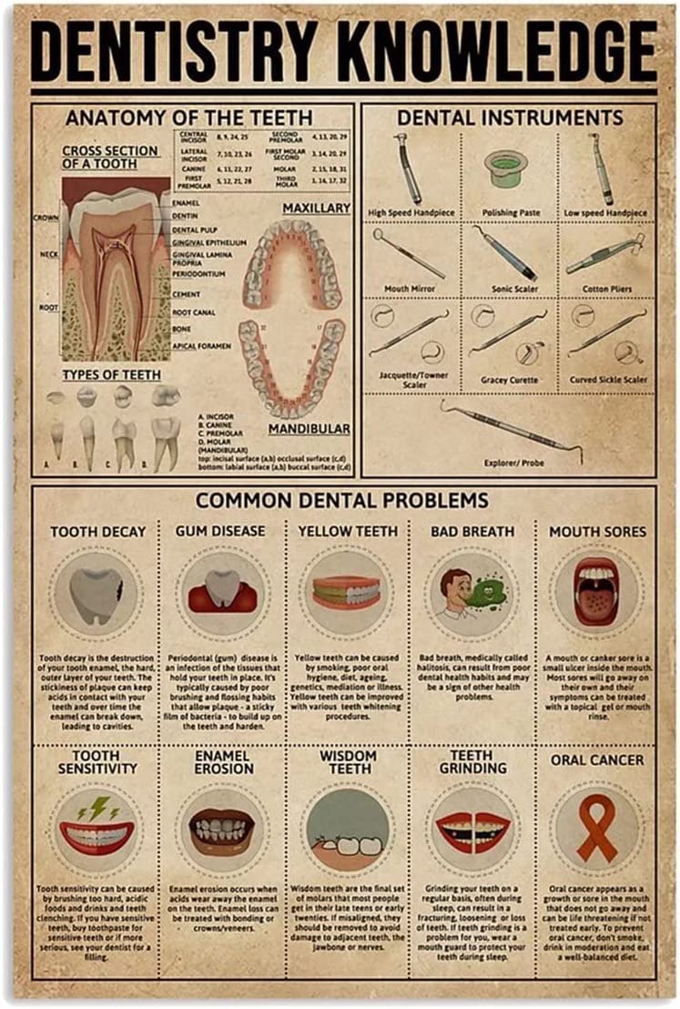 rayprint Dentist Knowledge Dental Hospital Metal Sign Retro Poster Knowledge Wall Art Tooth Educational Posters For Classroom Clinic Decor Gifts 12x16 Inches