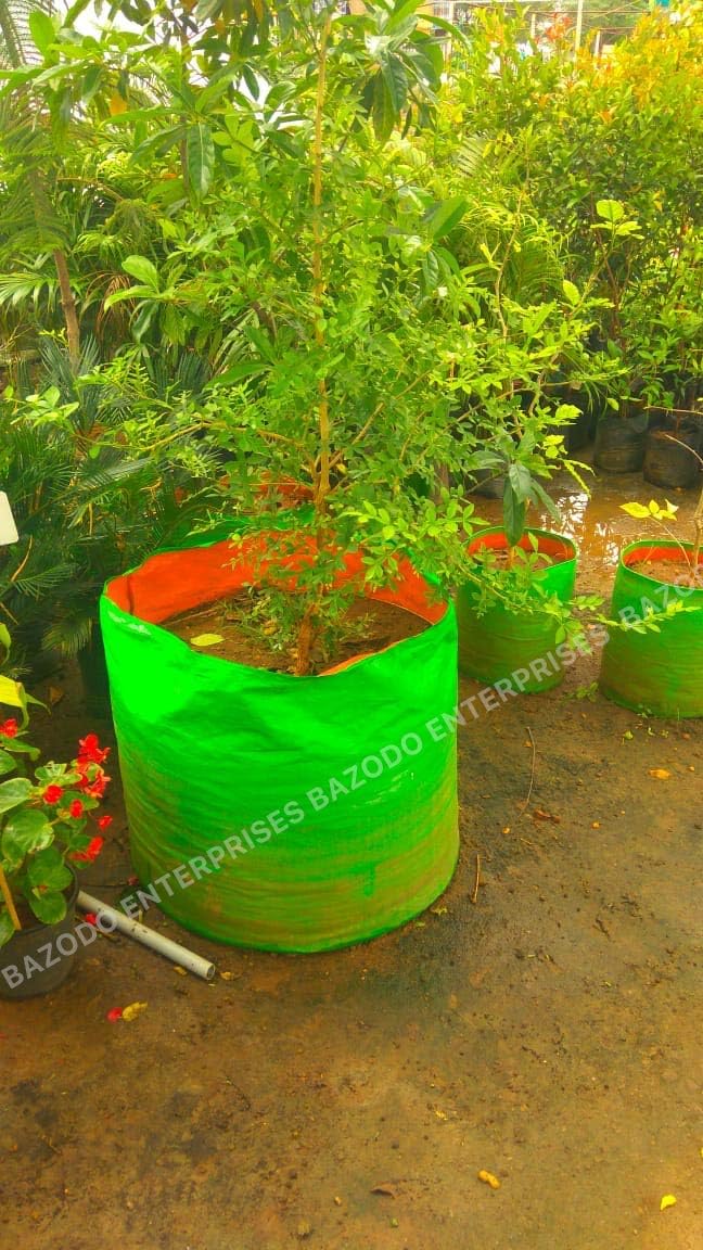 YUVAGREEN Plastic Big Size Terrace Gardening Grow Bag for Fruits