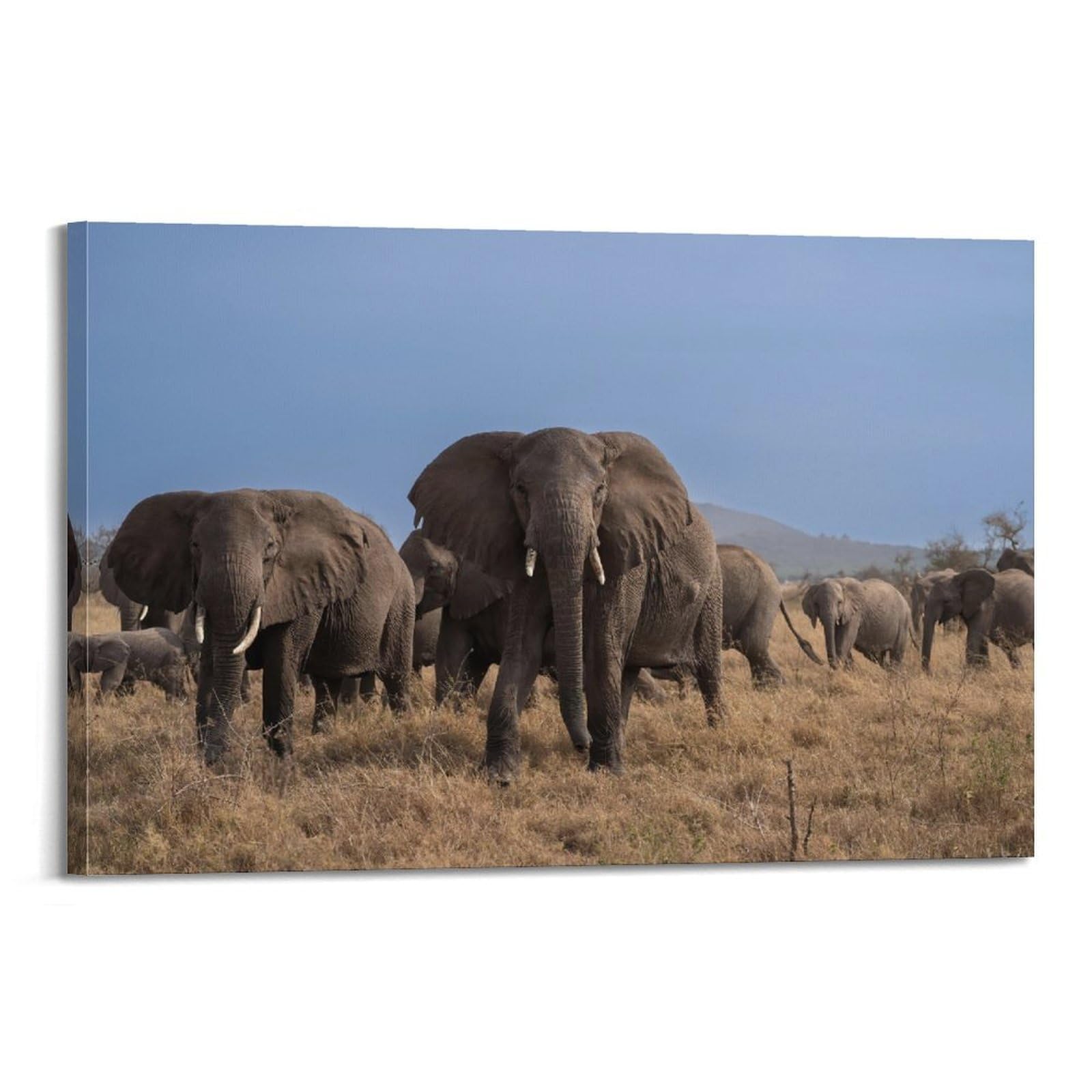 Xkuga Boys Frame-Style African Elephant Poster Migration Journey Grassland Modern Decorative Canvas Prints - Ideal Wall Art For Family, Man Cave, Game Room, & Girls Bedroom 20X30inch(50X75cm)