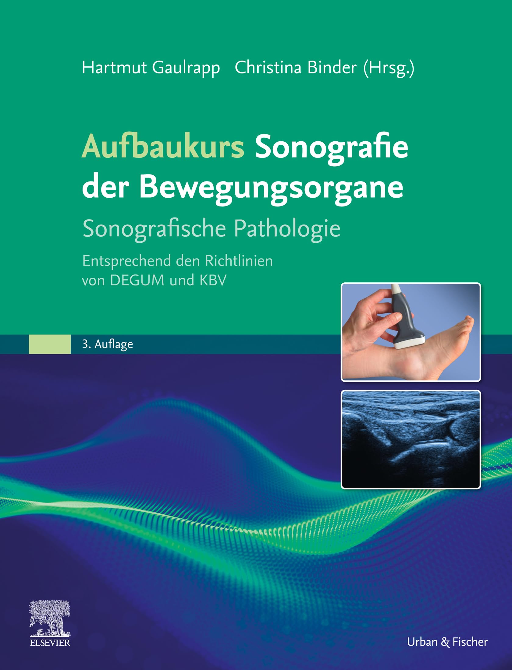 Aufbaukurs Sonografie Bewegungsorgane: Entsprechend der Richtlinien der DEGUM und KBV (MONOGRAPHIE - Fachbuch - Urban & Fischer-Verlag)