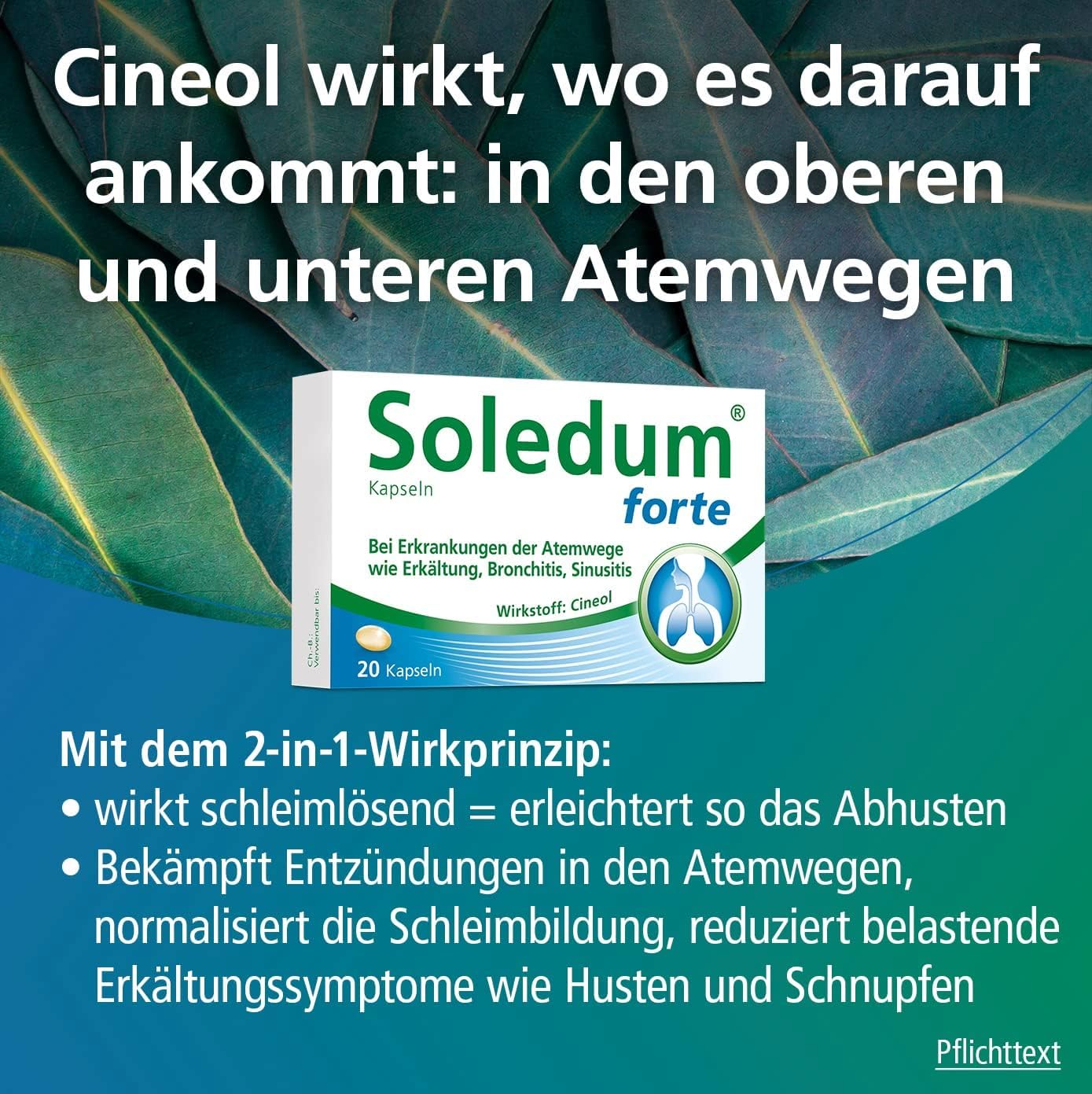 Erkältungsbundle 3er Set | Soledum Kapseln forte -100 Kapseln | nasic Nasenspray mit dem Wirkplus - 15 ml | nasic Lippenpflegestift