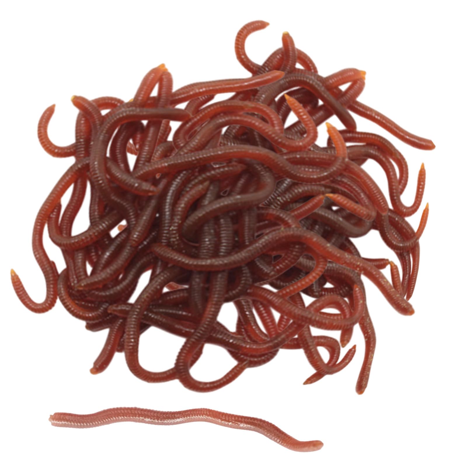 SAIIURV 100 Pieces Plastic Fake Worms Scary Props Stretchy Toy Worms for Children Halloween Decoration April Fools Day Party Fishing Halloween Party Favors Decoration (100 pcs)
