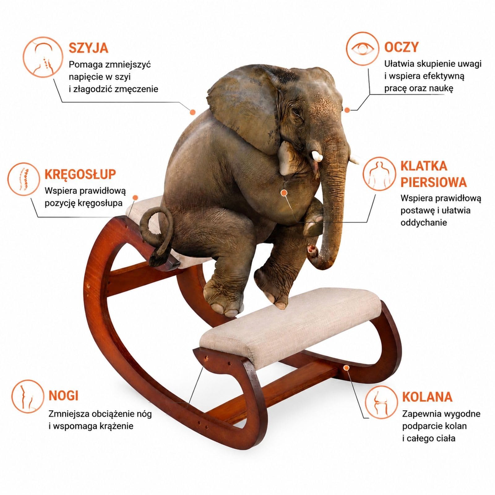 Ergonomiczne krzesło klęczące z regulowanym stołkiem pod kolana, bujaną ramą, drewnem brzozowym i piankowymi poduszkami do biura