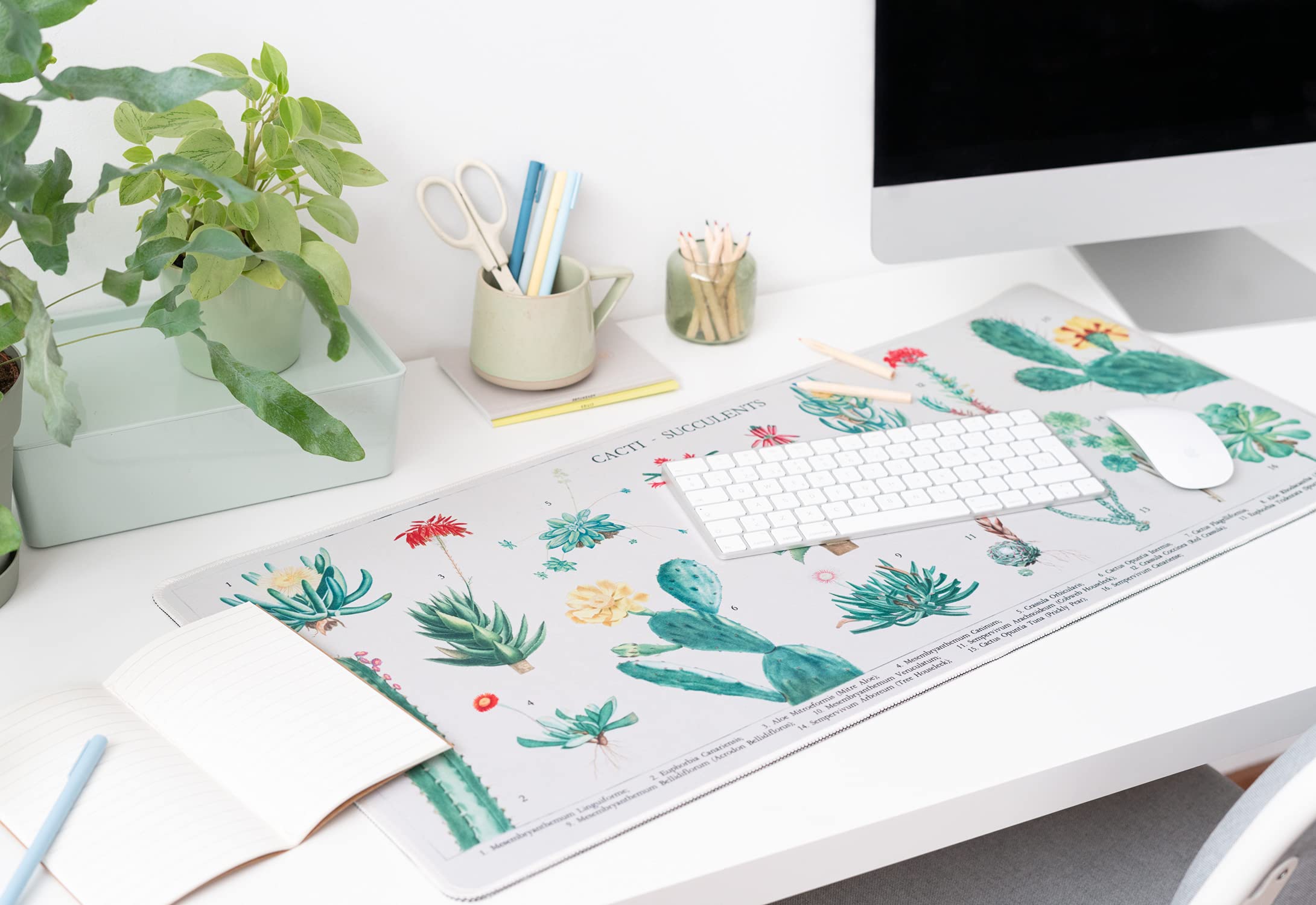 Kokonote XXL Podkładka pod Mysz Botanical, Cactus & Sukulenty, Podkładka na Biurko 80 x 35 cm, Akcesoria do PC dla Graczy