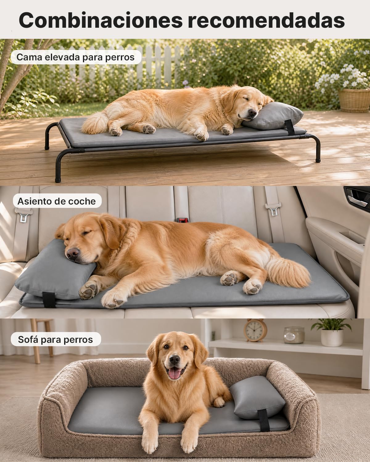 Cama Para Perros Con Cojín De Wassericht, Cama Perros Piel Sintética