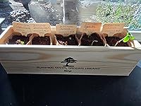 Review Image by tony corpus tony corpus