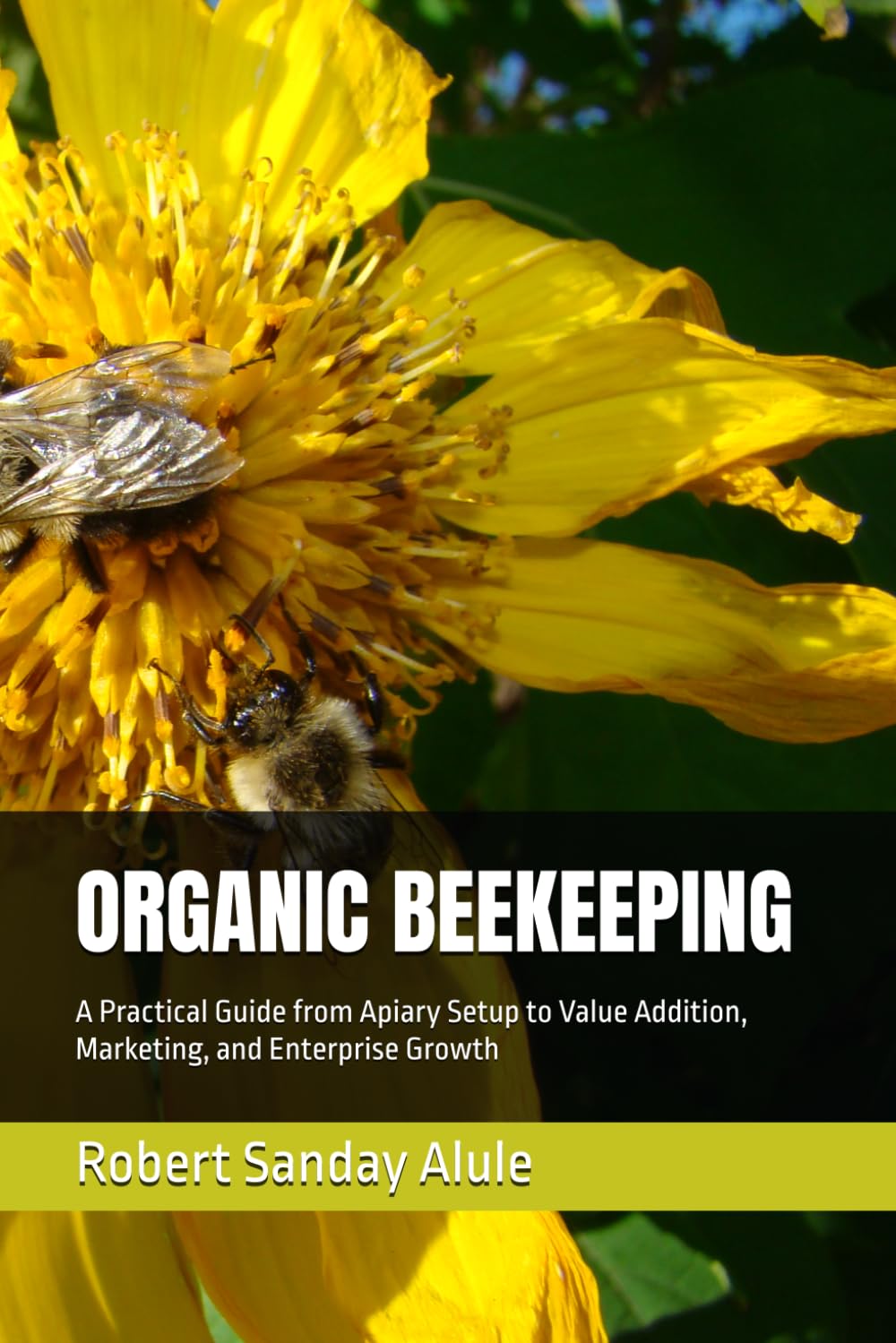 ORGANIC BEEKEEPING: A Practical Guide from Apiary Setup to Value Addition, Marketing, and Enterprise Growth
