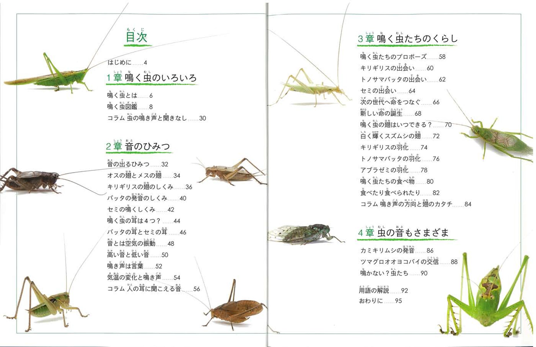 鳴く虫の科学 なぜ鳴くのか どこから音を出すのか そのメカニズムを探る 子供の科学 サイエンスブックス 高嶋 清明 海野和男 本 通販 Amazon