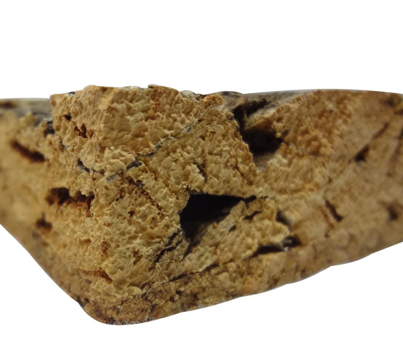 Insects 3D Cork Rear Wall 90x60 cm KorkDeko Terrarium Background XL