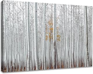 White Birch Forest Wall Art, Tree Picture Print on Canvas for Modern Rustic Bathroom Decor 15 x 12