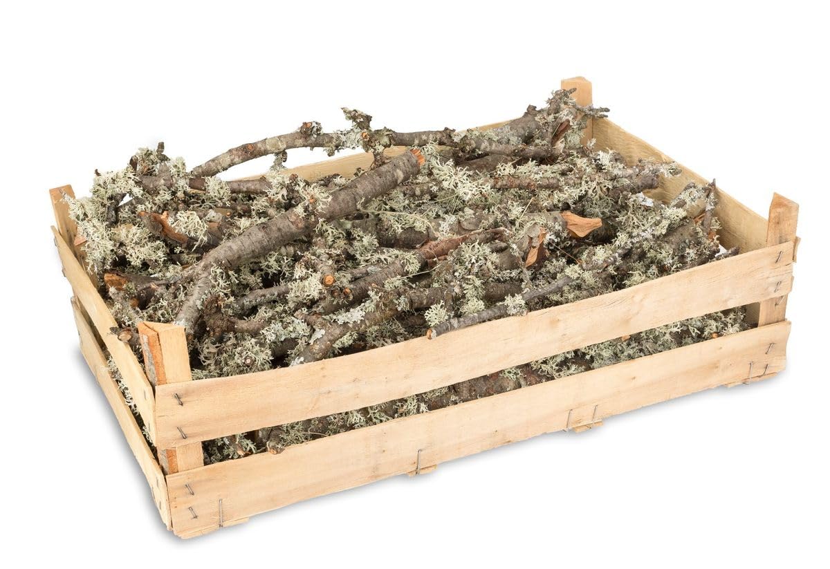 NaDeco Moos Zweige Natur, verpackt in Einer Holzsteige 60x40x18cm | Dekoäste | Dekozweige | Deko Äste | Deko Holz | Deko Hölzer | kleine knorrige Zweige | Terrariumdekoration | Krippenbau Material