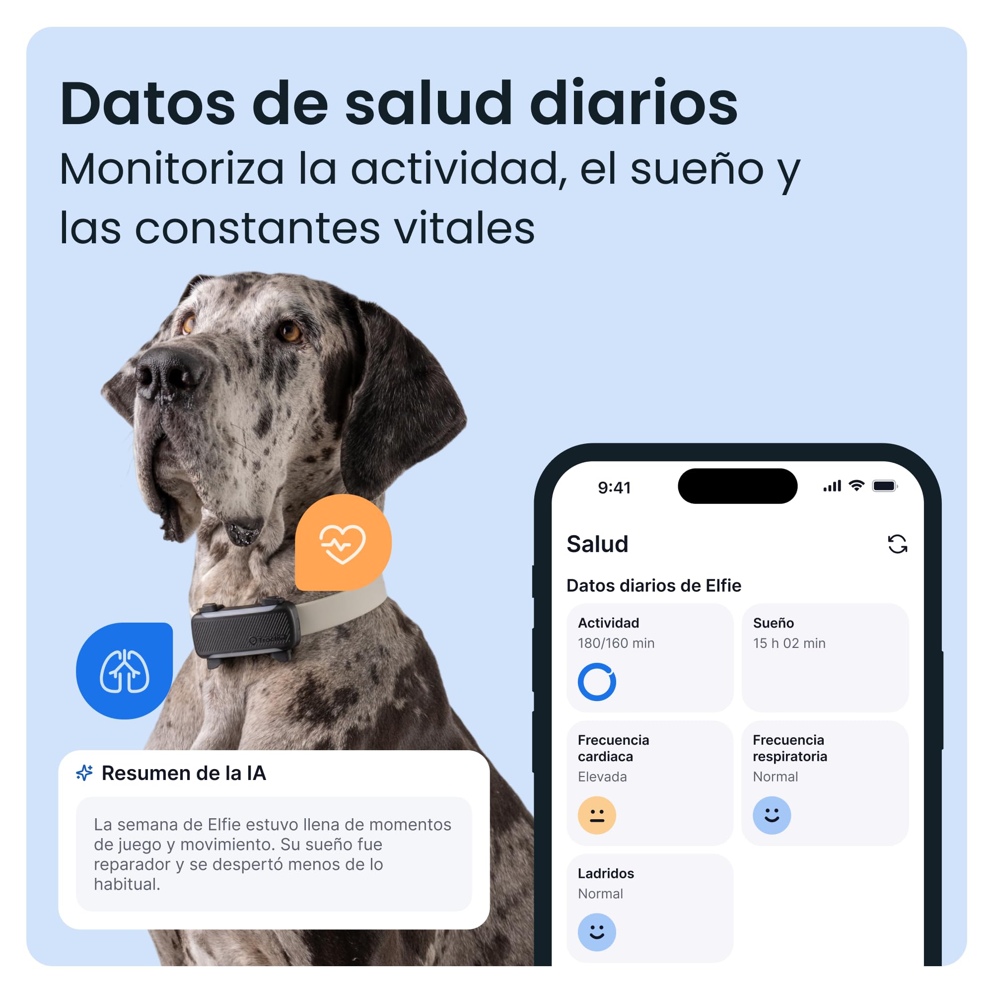 Tractive GPS para Perros Inteligente | Edición 2026 | Localización GPS en Tiempo Real | Alertas antifuga y avisos de Salud | Monitorización de Constantes Vitales | Batería de Larga Duración (Negro)