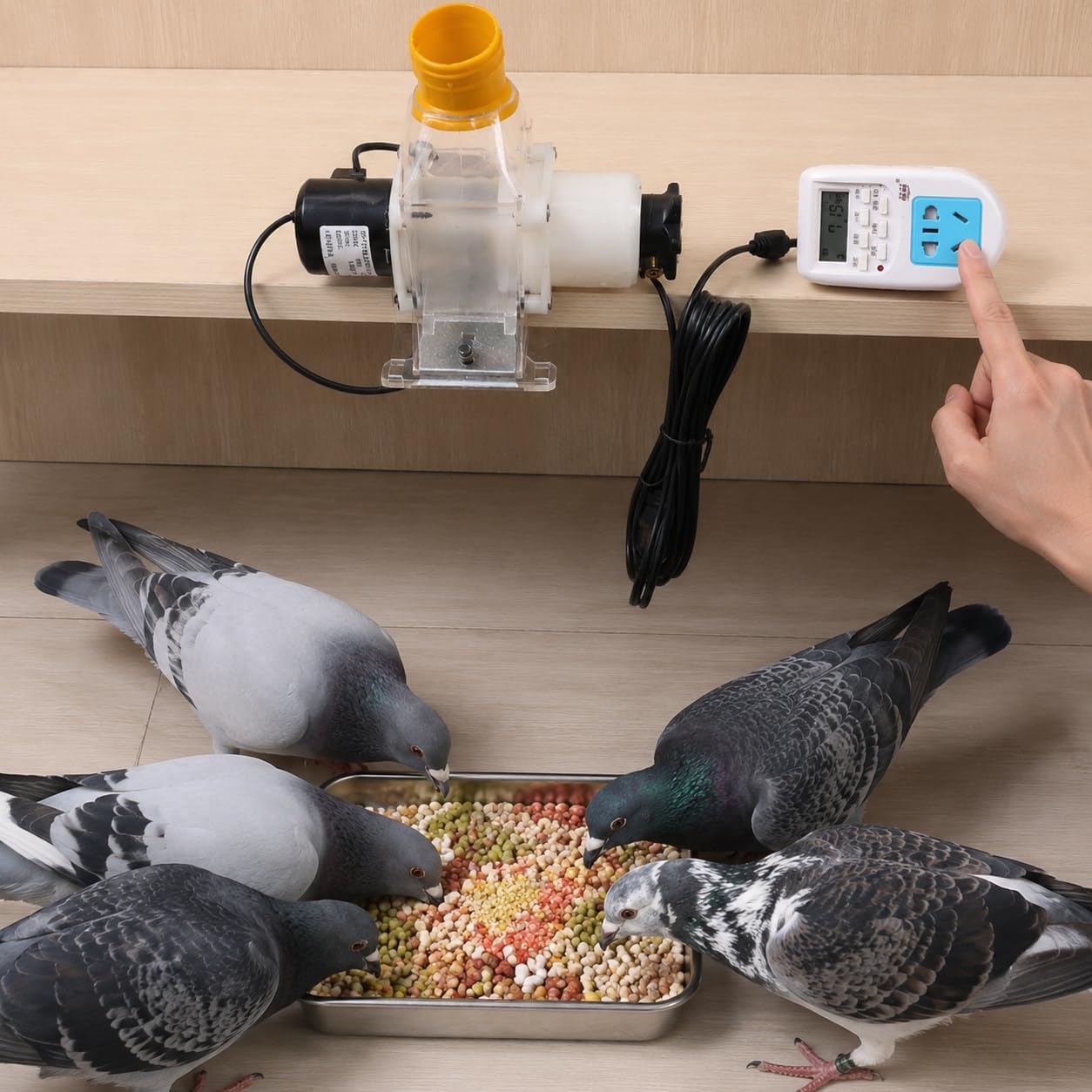predolo Futterautomat Katze, Programmierbarer Katzenfutter Automat mit App-Steuerung, Weißer Futterspender Katze für Berufstätige, Netzbetrieb, Enhanced-Version Intelligente