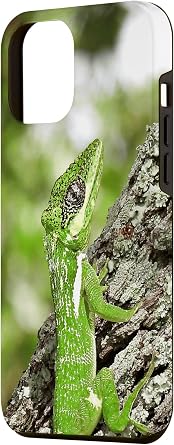 iPhone 15 Pro Max Knight Anole Case