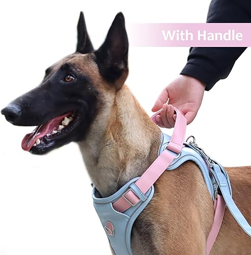 Miniatura 4 de HuggieGems Arnés de cuero para perros medianos y grandes, sin tirones, chaleco ajustable con asa y dos puntos de fijación de correa, fácil de