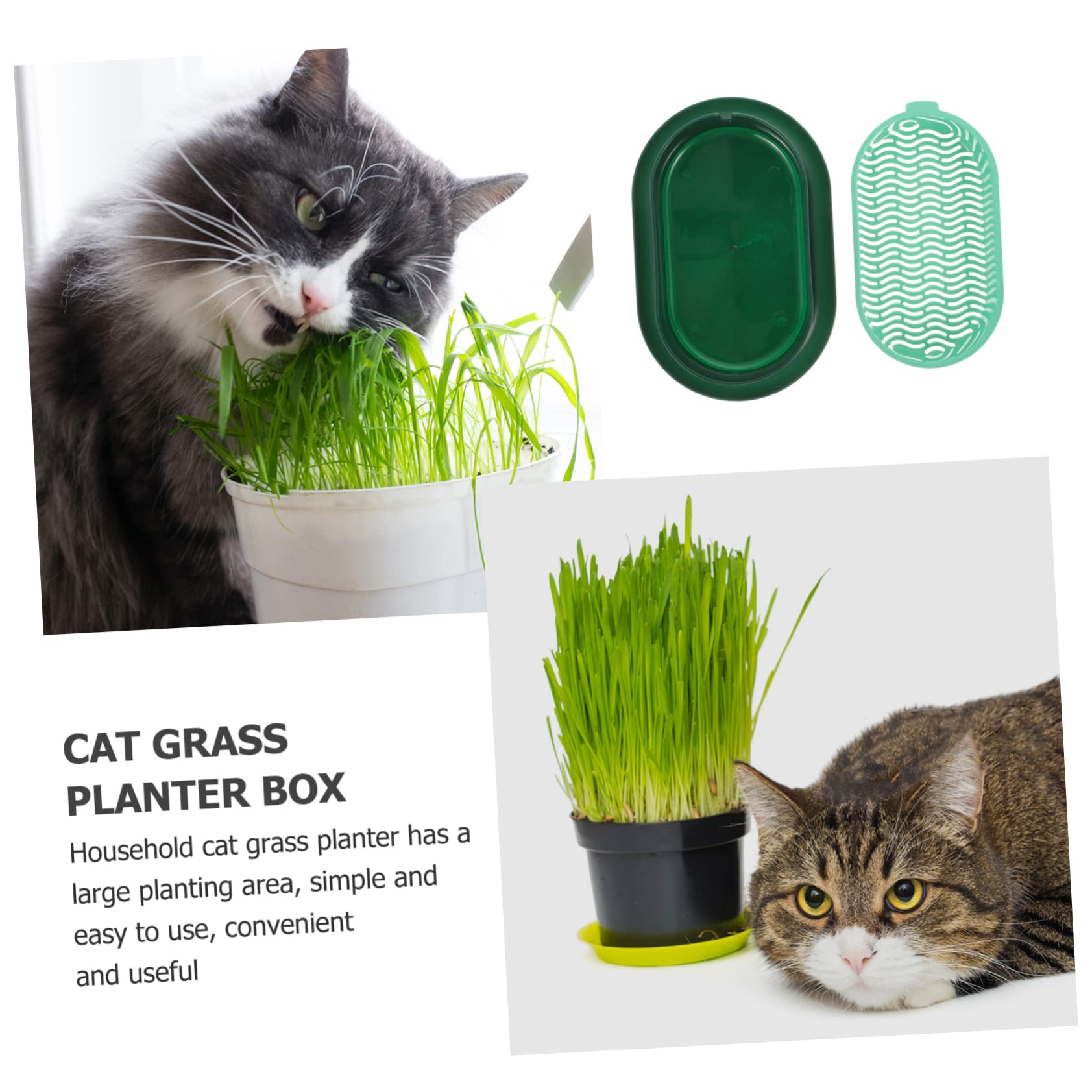 Bac Hydroponique Pour Herbe à Chat – Kit De Culture Compact, Sans Terre, Facile D’entretien (vert Foncé) - 4