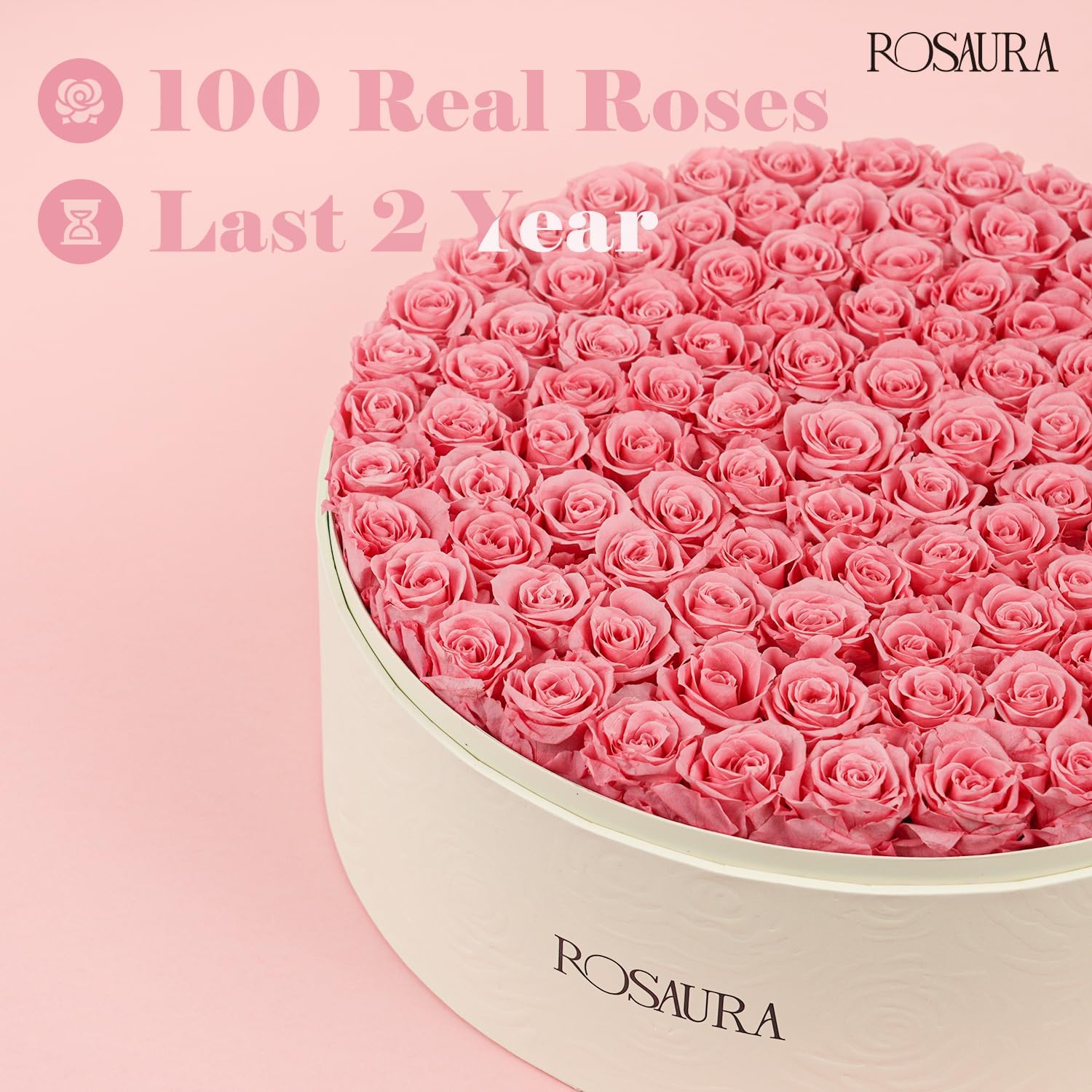 Rosaura Round Preserved Roses Gift Box (Pink, 100 Roses)