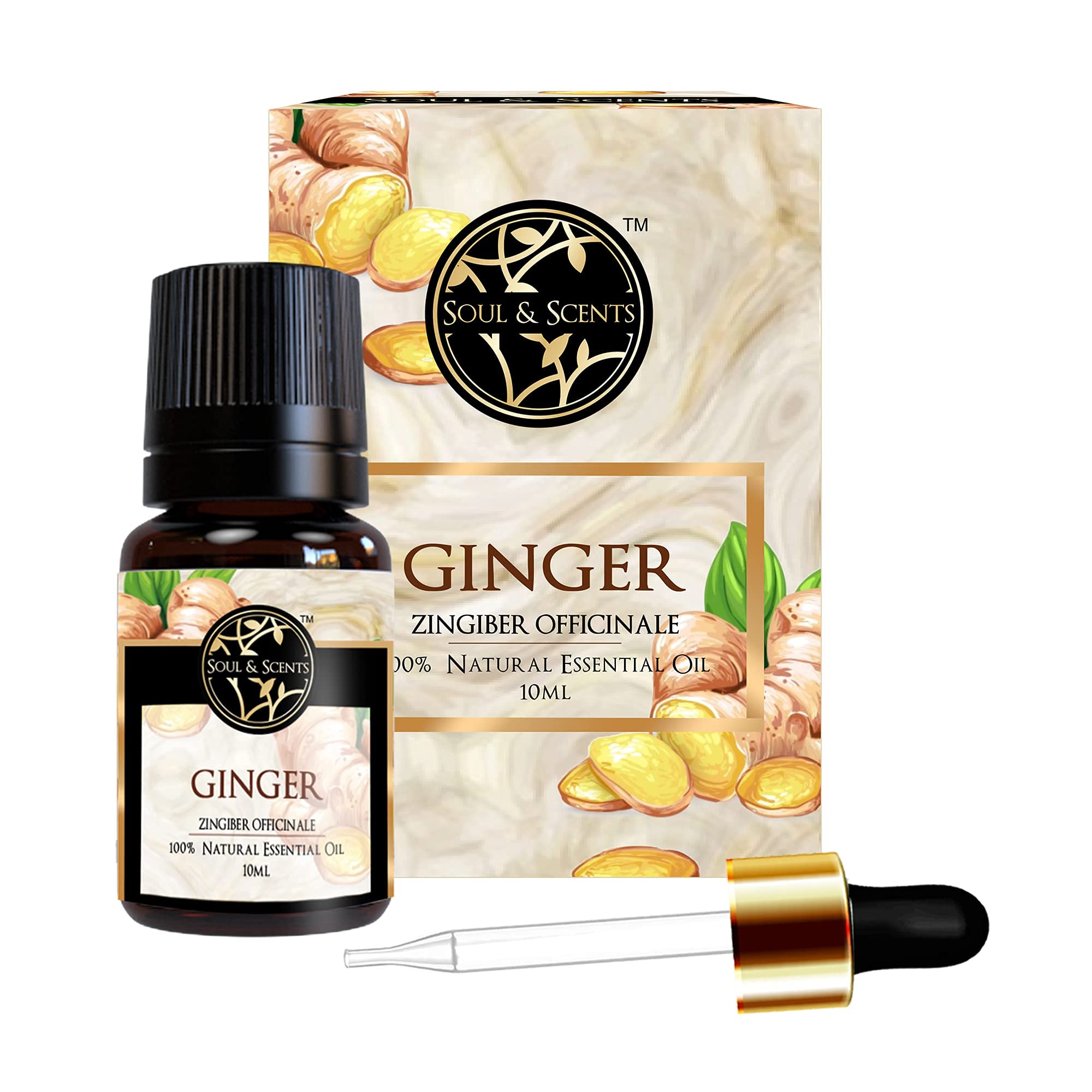 Soul & Scents Natural Ginger Essential Oil | Pure, Therapeutic Oil with Warm Aroma | 100% Organic | Enhance Concentration & Stress Reduction | Alleviates Anxiety, Fatigue, & Lethargy | 10 ml