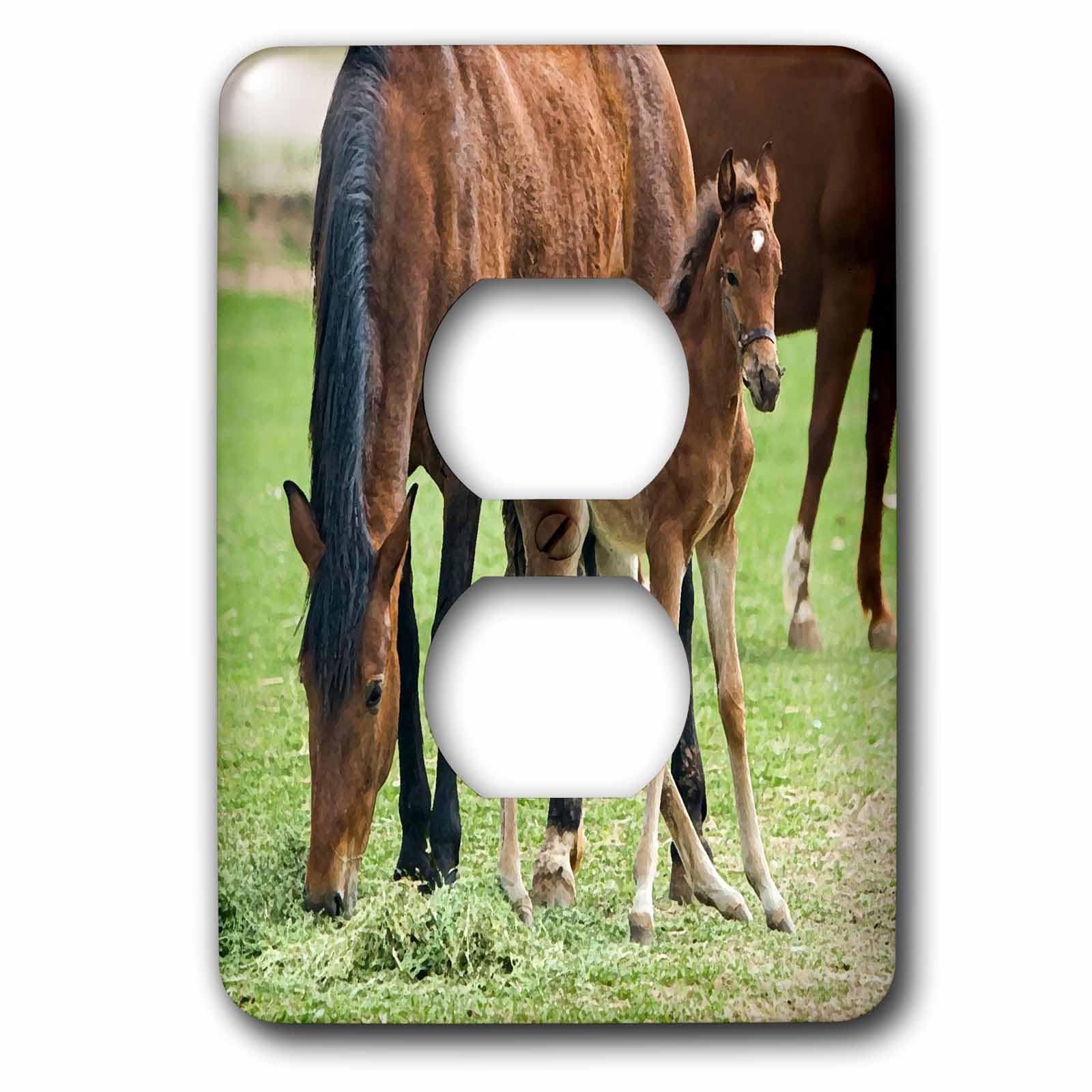 Impression jument et poulain plaque de finition double prise de courant
