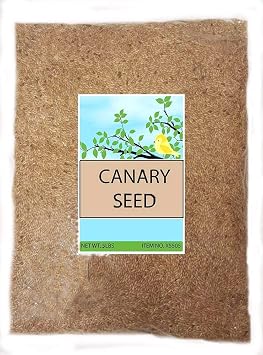 Canary Seed Alpiste Bird Food