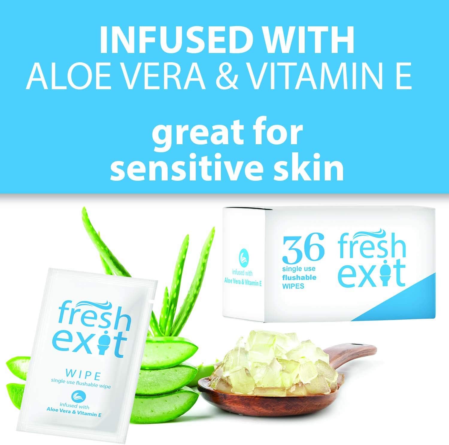 FreshExit – Individually Wrapped Flushable Wipes for Adults – 36 Count – Great for Travel and Activities – Do Not Dry Out Like Bulk Packaged Wipes - A Large, Personal Wipe in a Small, Discreet Package : Health & Household