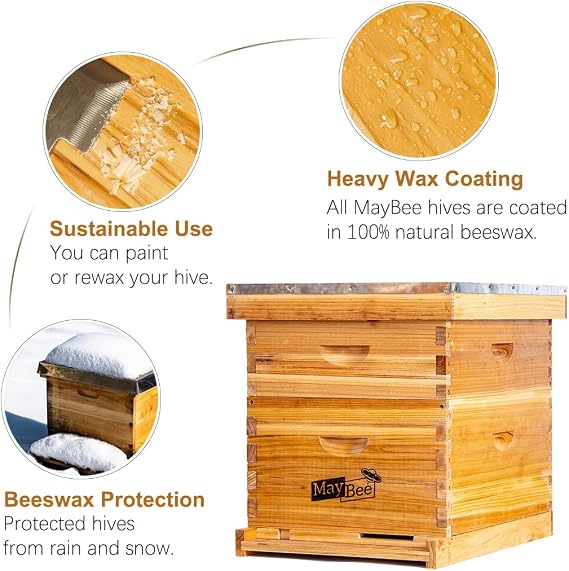 Beehive 10 Frame Bee Hives and Supplies Starter Kit, Bee Hive for Beginner, Honey Bee Hives Includes 1 Deep Brood Hive Box, 1 Bee Hive Super Box with Beehive Frames and Foundations