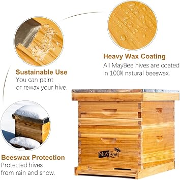 Beehive 10 Frame Bee Hives and Supplies Starter Kit, Bee Hive for Beginner, Honey Bee Hives Includes 1 Deep Brood Hive Box, 1 Bee Hive Super Box with Beehive Frames and Foundations