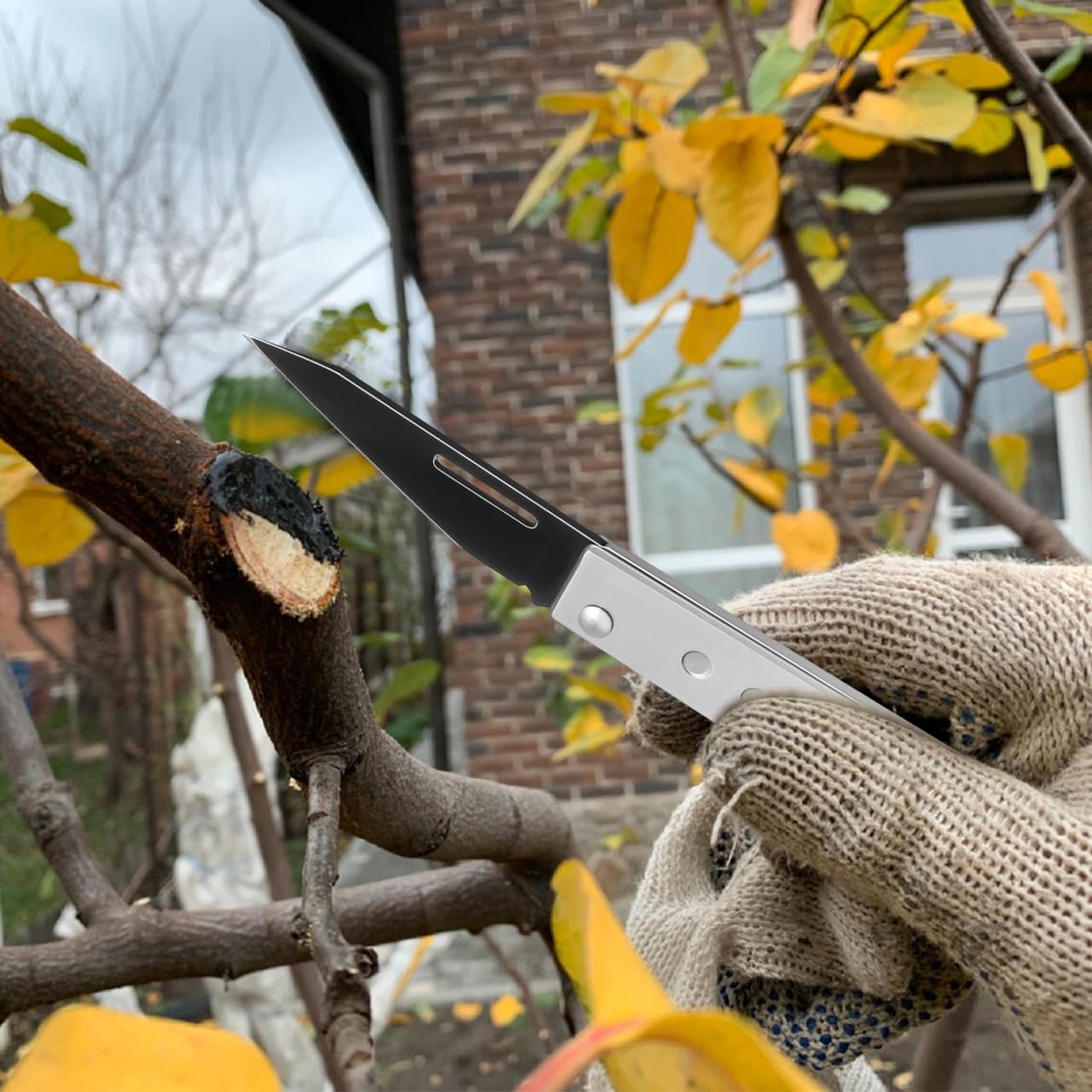 Amazon.co.jp: 木の皮を剥く道具 木工皮剥ぎハンドツール 2用 樹皮剥ぎ